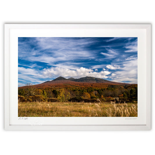 八甲田山を包む紅葉