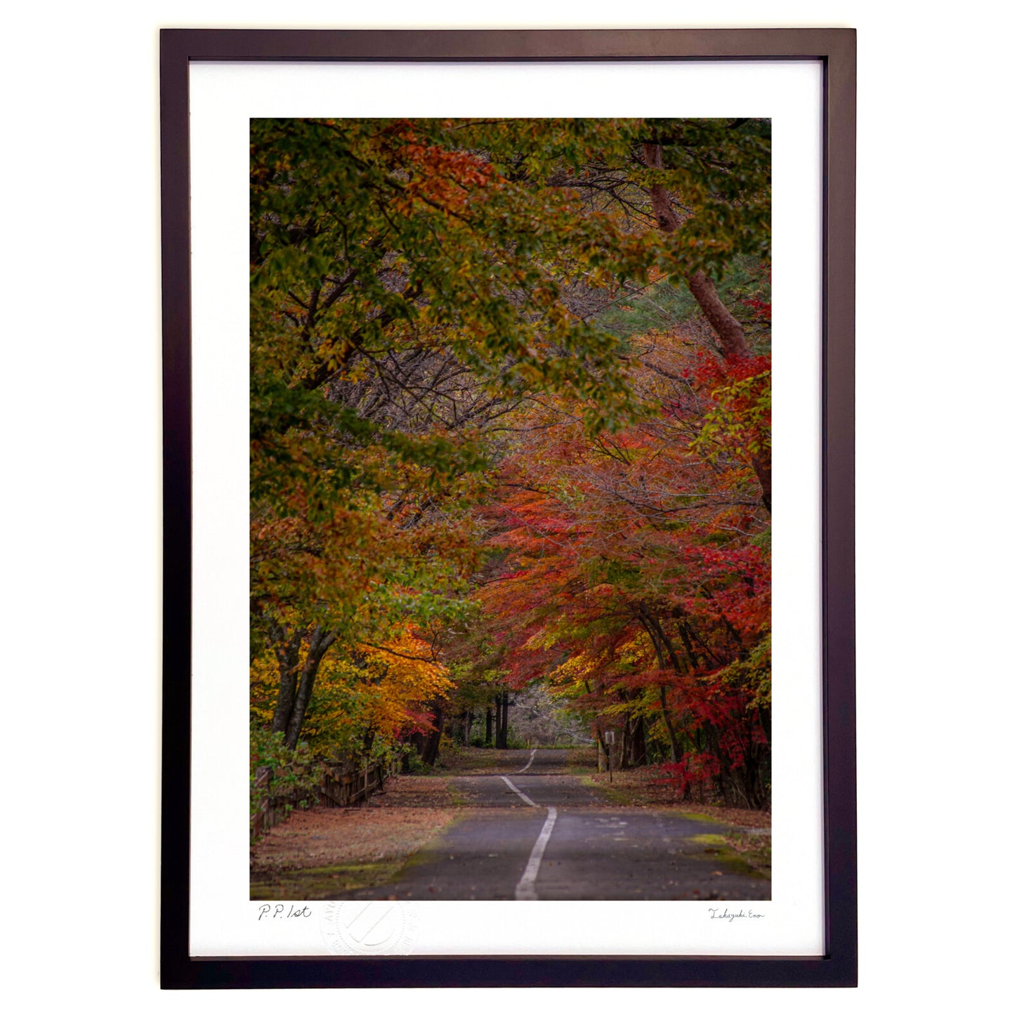 秋の風景 紅葉に覆われた道