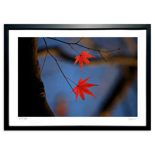 ラストステージ