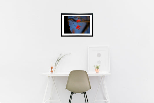 ラストステージ