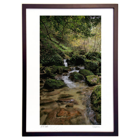 山の中を流れる