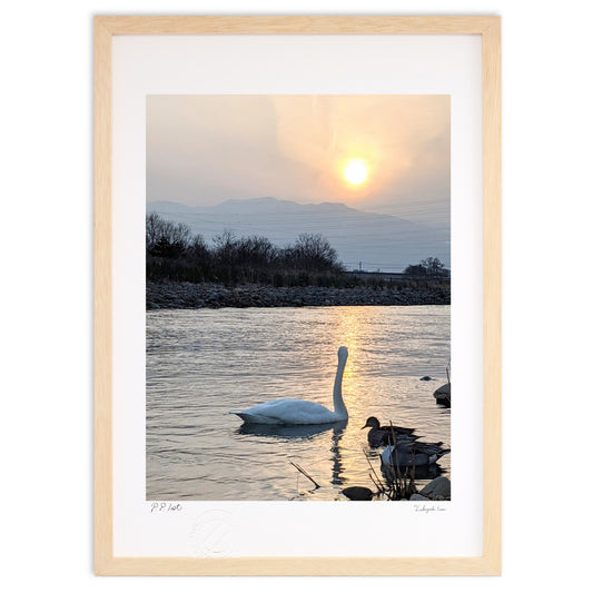 黄昏のシルエット