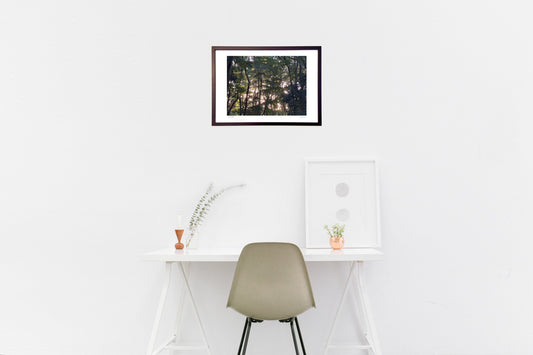 樹々の間からの光