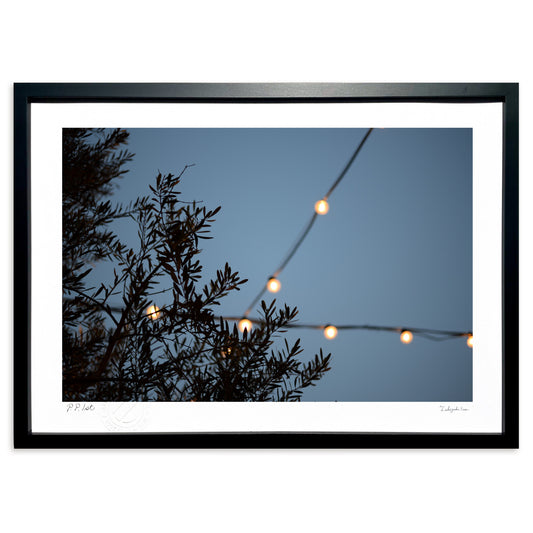 ひとときの休息