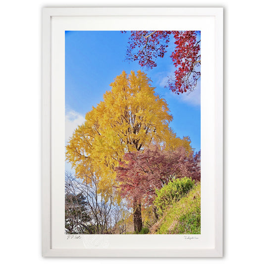 初冬の昼下がり