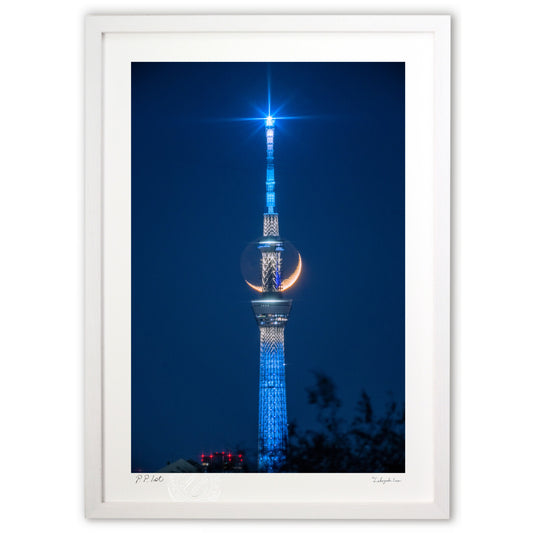 恥ずかしがり屋の三日月