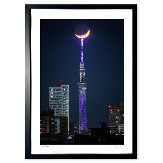 冬の三日月ツリー