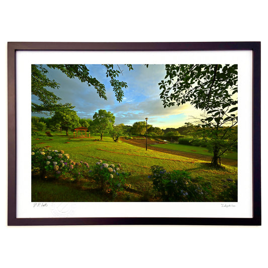 初夏の前山ダム公園