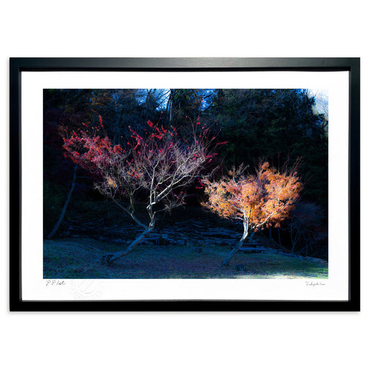 風が．．．其の一