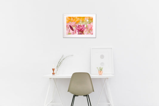 夏の陽射しを浴びながら