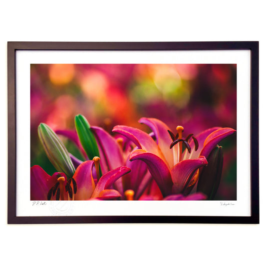 ドキドキさせられた花