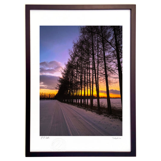 防風林越しの朝焼け