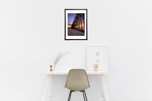 防風林越しの朝焼け