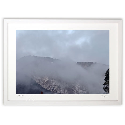 雪が積もり始めた