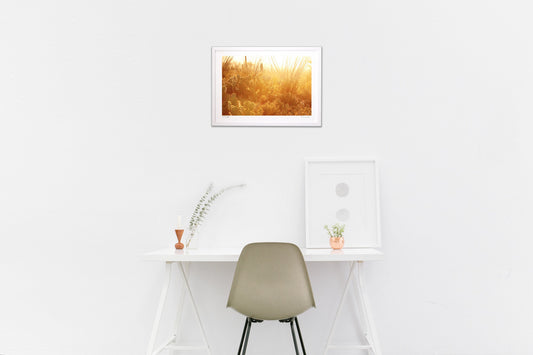 砂漠のサンライズ