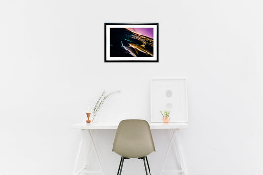 写真　夕焼けのラグーンで出会ったサメ#2 (横)