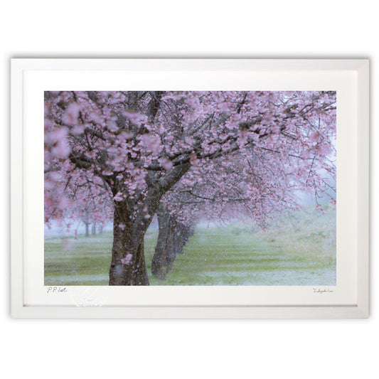 冬と春のはざまで