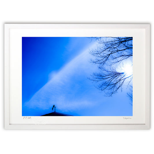 朝の風見鶏　空と白雲と陽