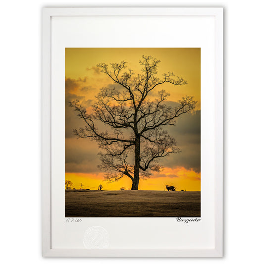 版画 朝焼け色に映える(縦)