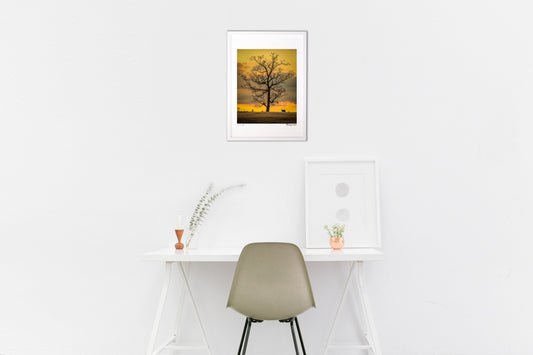 版画 朝焼け色に映える(縦)