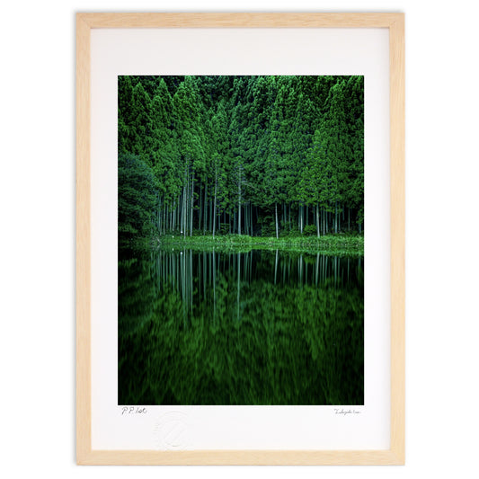 龍王ヶ淵の水鏡