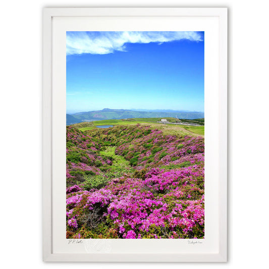 杵島岳から眺めた草千里2