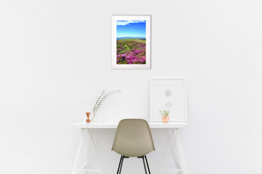 杵島岳から眺めた草千里2