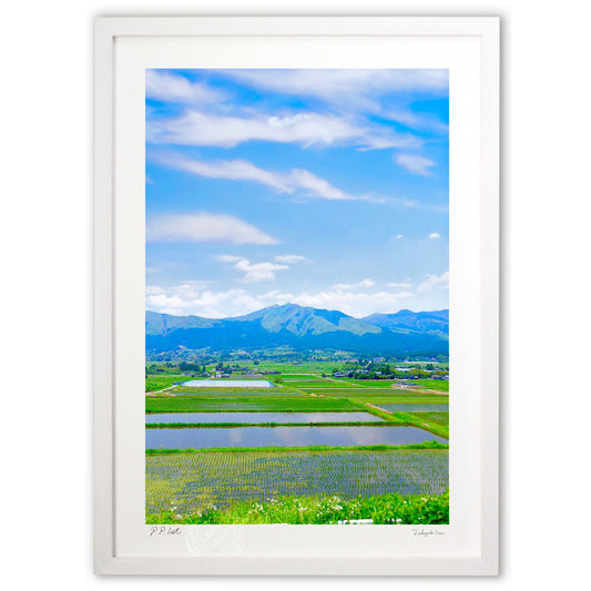 田植え後の風景