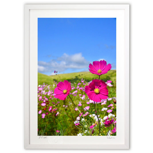 草原のキャンパス