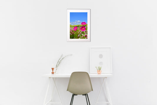 草原のキャンパス