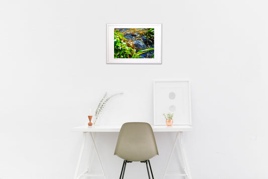 空うつす雪どけ水