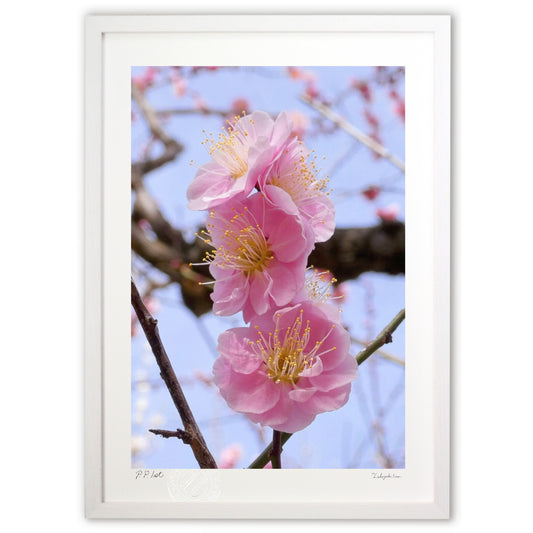 香りにうっとり