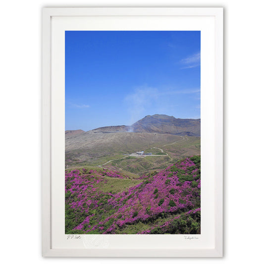 中岳とミヤマキリシマ