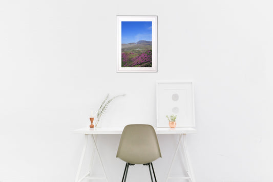 中岳とミヤマキリシマ