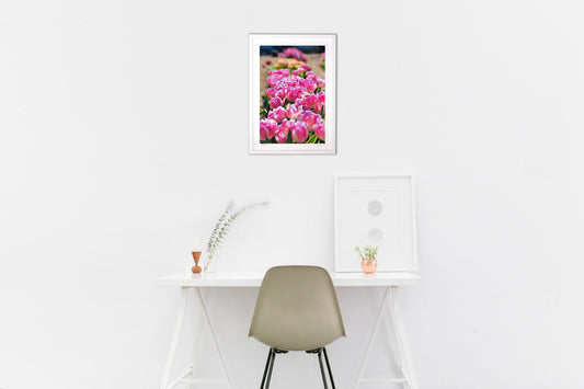 アイスチューリップⅣ