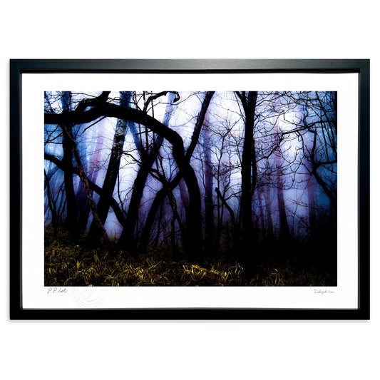 濃霧に包まれて