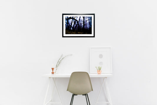 濃霧に包まれて