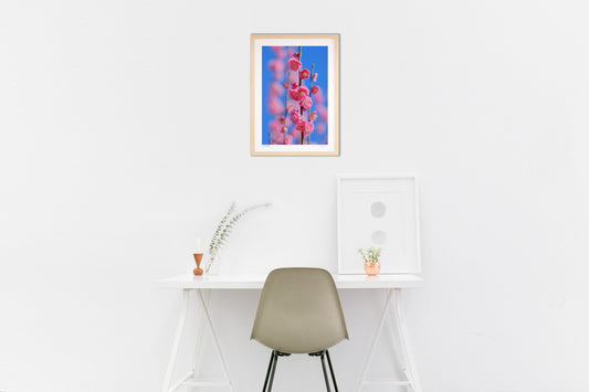 写真 青空と梅（縦）