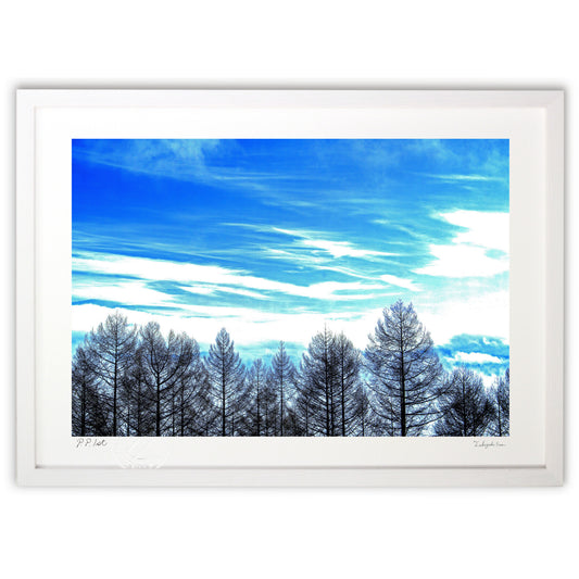 ５℃ 高原の暖かな朝