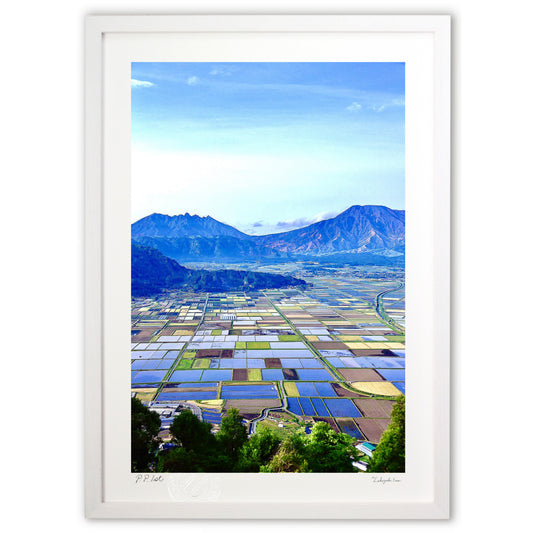 田植え前の阿蘇平野