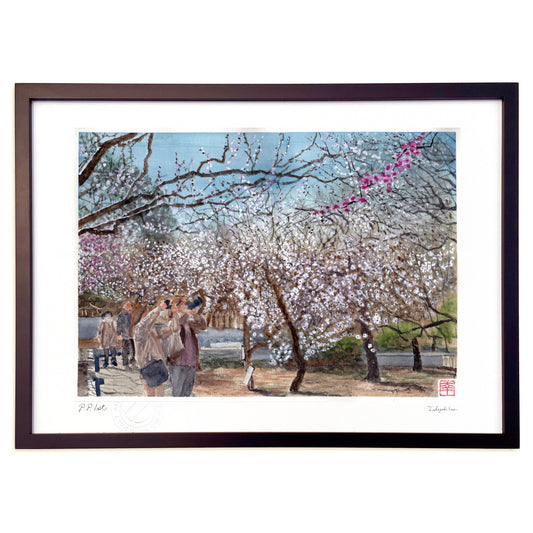 大谷田公園の梅