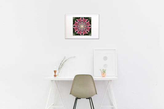 Butterfly Dream Camellia