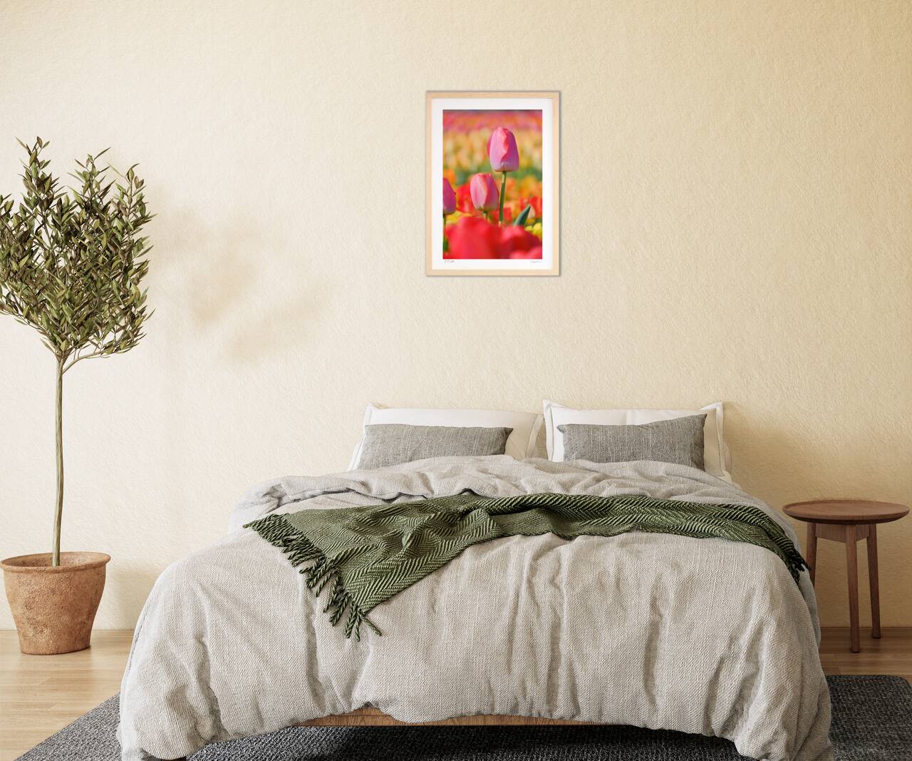 チューリップ畑のピンク