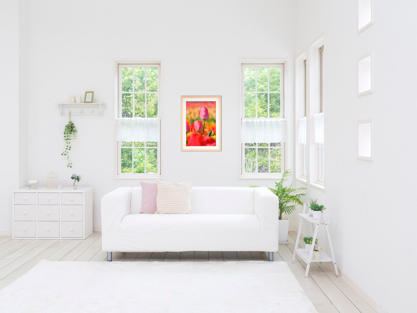 チューリップ畑のピンク