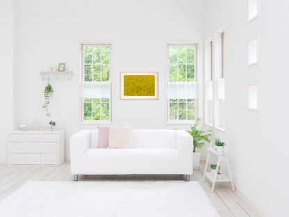 ビタミンカラー