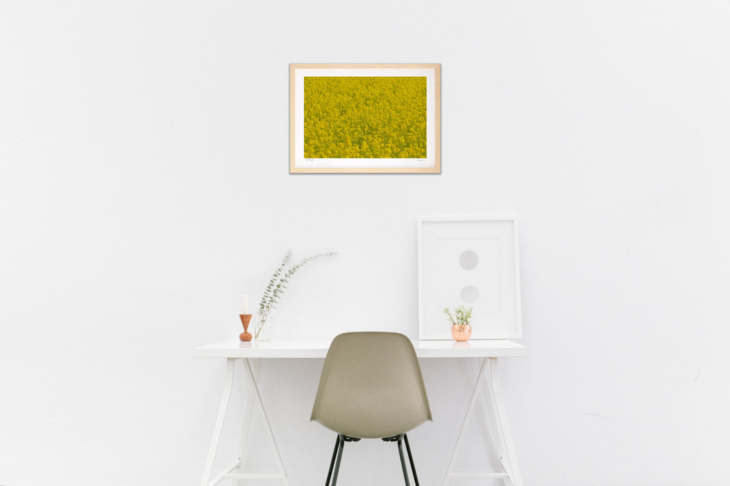 ビタミンカラー