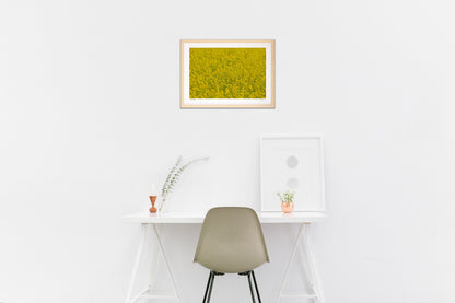 ビタミンカラー