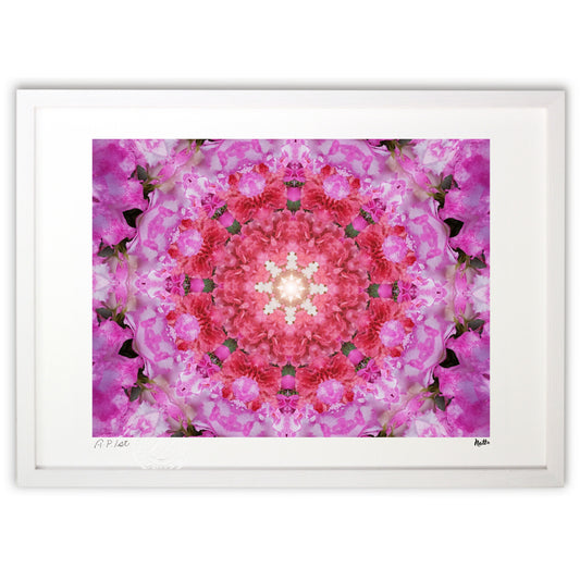 元気なアザレア