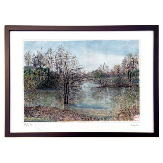 水元公園第二観察台から