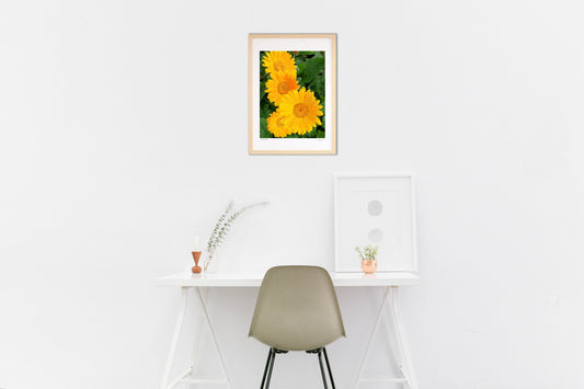 優しさと温かさ